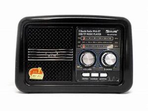 RX-BT978S GOLON RADIO - Image 3